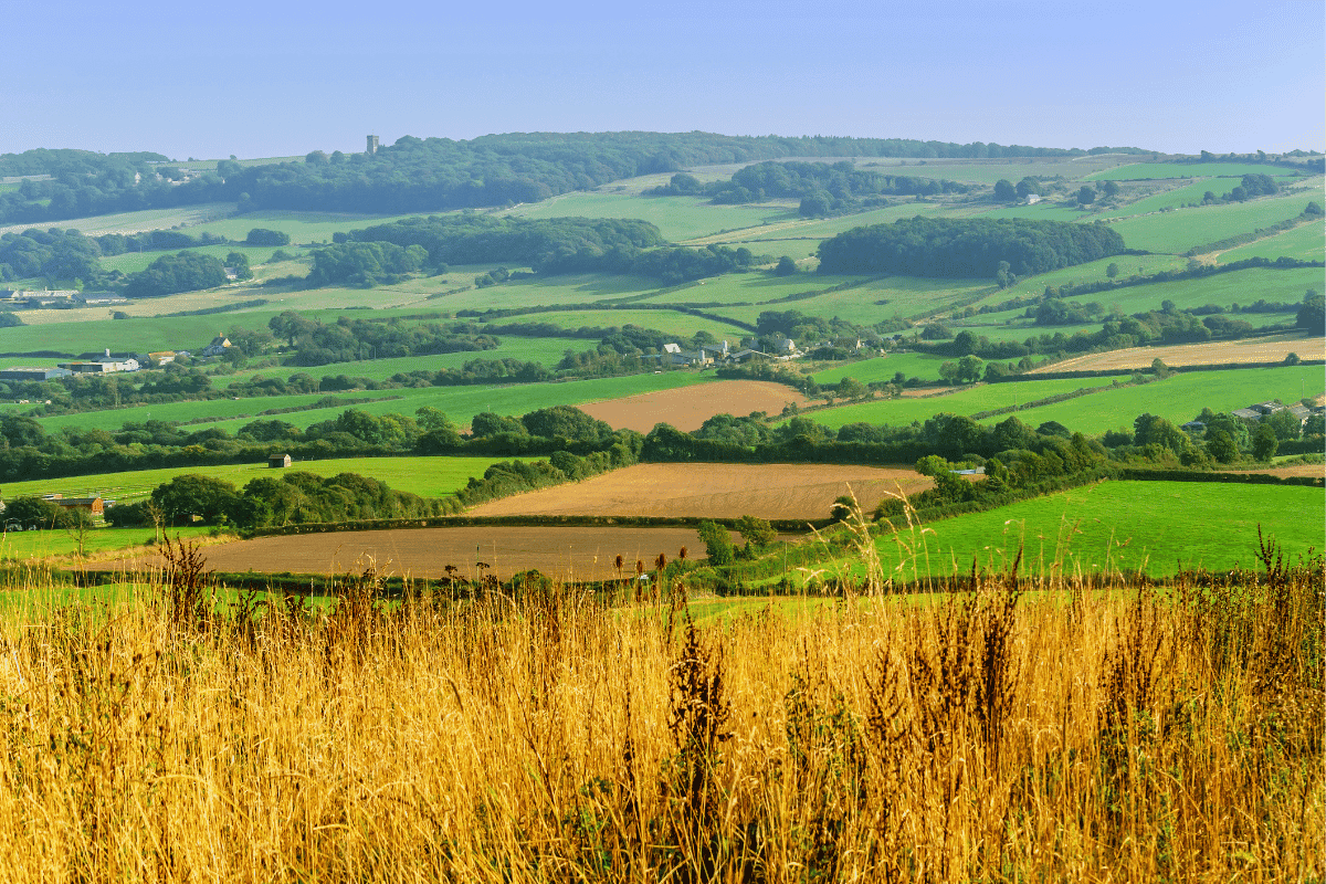 S.K.TAXI local taxi service in Shepton Mallet